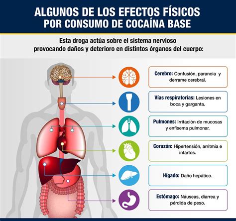 PDI Chile on Twitter Infografía Conoce los daños físicos que provoca la cocaína base en el