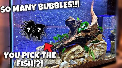 Top Fin Led Bubble Wall Aquarium Kit Aquascape Youtube
