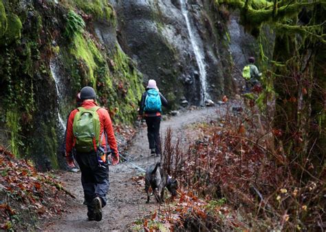 What You Need To Know Before Hiking The Reopened Eagle Creek Trail