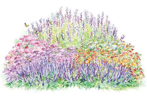 Diy butterfly garden for monarchs. Monarch Butterfly Perennial Garden | White Flower Farm