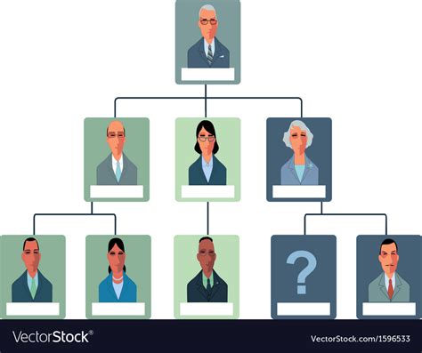 Organization Structure Chart Royalty Free Vector Image