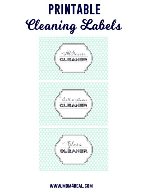 Free Printable Cleaning Labels Diy Cleaning Products
