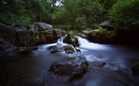 984124 4k Moss River Wet Nature Forest Rocks Waterfall Water