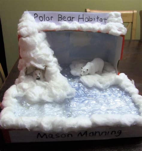 Polar Bear Diorama Masons 1st Grade Project 10192016 Diorama Kids