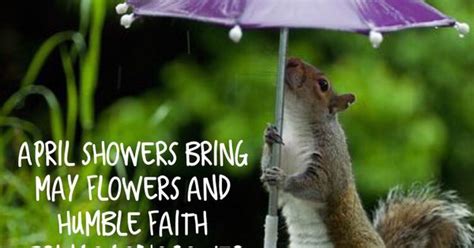 april showers bring  flowers  humble faith brings gods power april showers bring