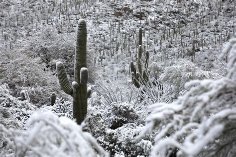 A Bunch Of Photos Of Todays Snow Across Tucson ️💕 Tucson Life