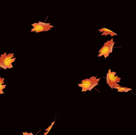Falling Leaves Animated Wallpaper