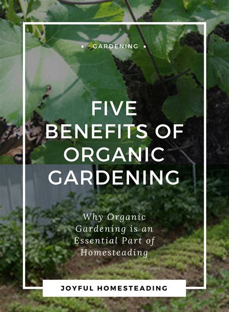 Benefits To Organic Gardening