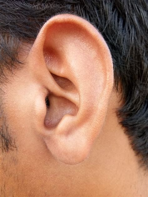 What Causes Ears To Drain And Itch Best Drain Photos Primagemorg