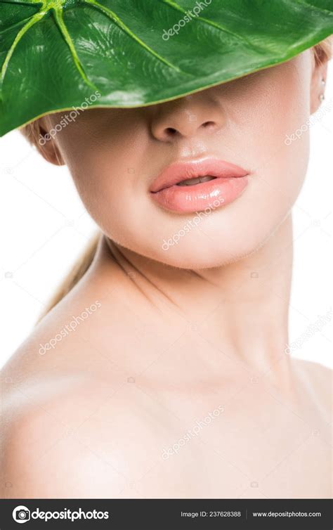 Hermosa Chica Desnuda Con Hoja Verde Tropical Cara Aislada Blanco Fotograf A De Stock