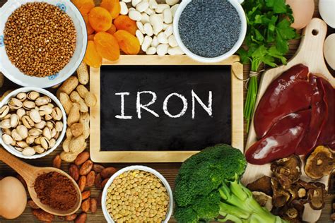 15 Iron Rich Foods For Healthy Energy Levels Alrightnow