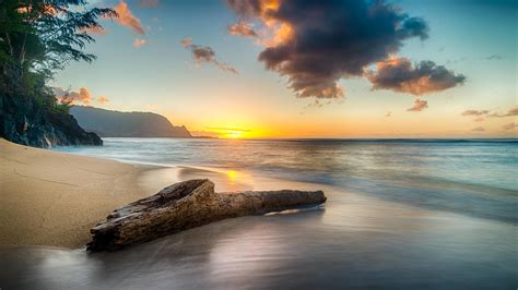 3840x2160 Driftwood On Beach At Sunset On North Shore Of