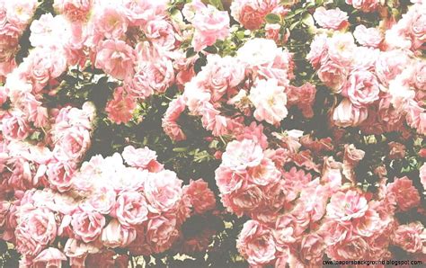 Pink Flower Tumblr Background Pink Aesthetic Background Flowers