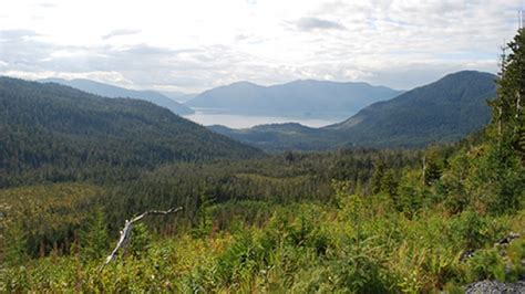 Judge Pauses Timber Sale In Alaskas Tongass National Forest Video