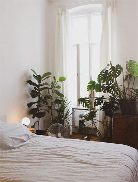 12 Simple And Easy Tips For Creating A Cozy Minimalist Home