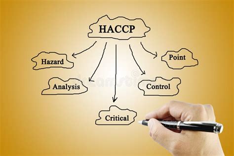 The Meaning Of Haccp Concept Hazard Analysis Of Critical Control