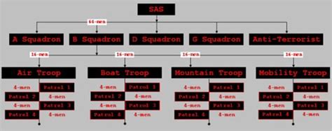 22nd Regiment Special Air Servicesquadron Dmountain Troop