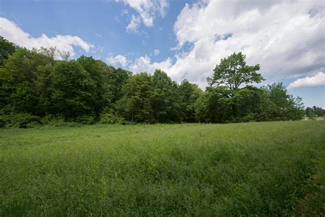 Richmond is a native kansan and holds degrees in history from washburn university and the university of nebraska, lincoln. Land Management | Office of General Services