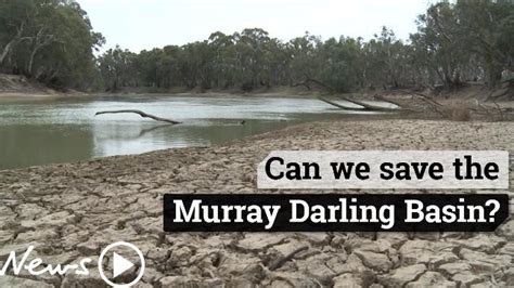 Murray Darling ‘dodgy’ Policies Killing Iconic Australian River The Courier Mail
