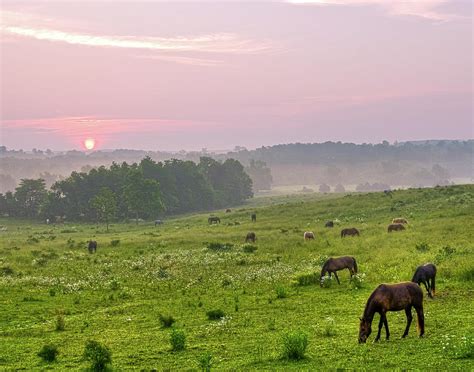 Sunrise Over The Valley Of The Horse Photograph By Ron Mcginnis Pixels