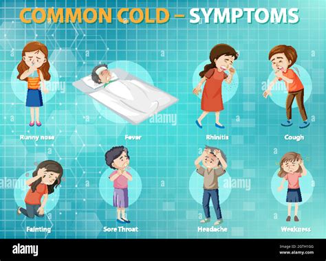 Common Cold Symptoms Cartoon Style Infographic Stock Vector Image Art