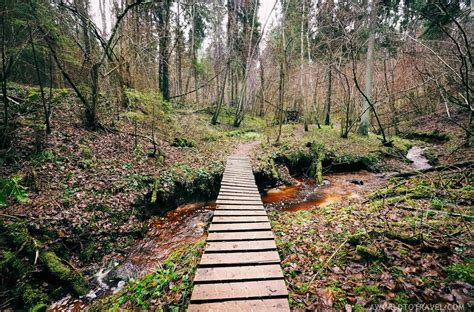 Latvia In Fall Is Fun Heres How To Enjoy The Country Rain Or Shine