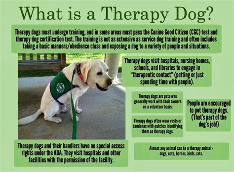 We did not find results for: National Service Dog Month | Oz the Terrier - Lifestyle ...