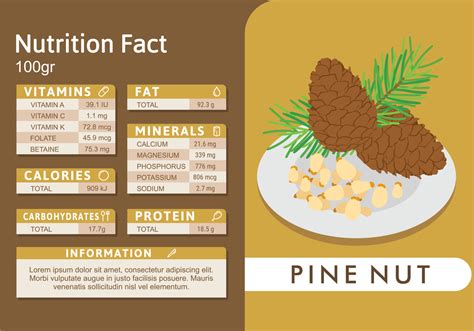Pine Nut Nutrition Facts 165038 Download Free Vectors Clipart