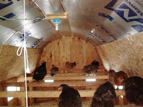 How many crayons did will give to each of his friends? How many square feet per chicken in the coop? | Livestock ...