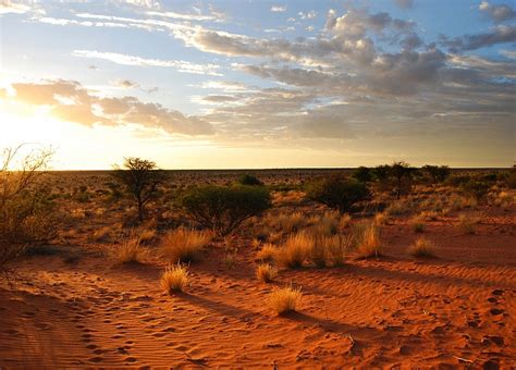 Désert du Kalahari une immensité à découvrir sur 3 pays