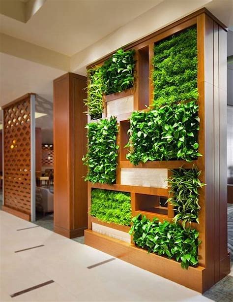 Your Dream Indoor Garden Ideas That Will Amaze You