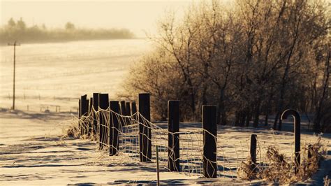 Download Wallpaper 1920x1080 Winter Snow Fence Protection
