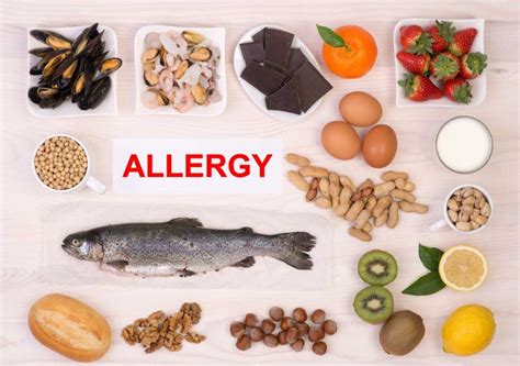 The 5 Most Common Allergies Understanding And Managing Them Allergy