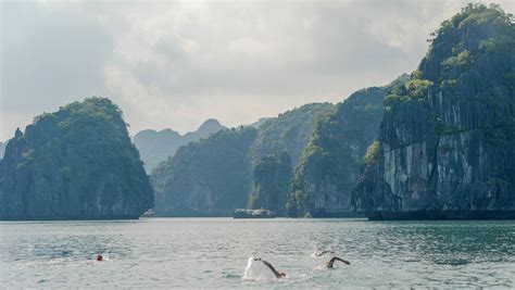 Lan Ha Bay Vietnam Vietnam Swimtrek