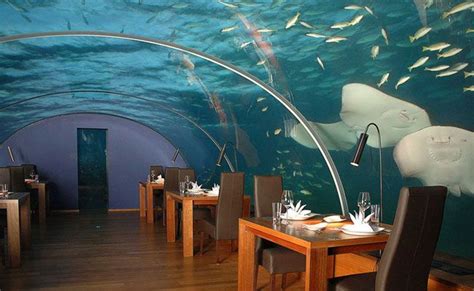 Um Hotel E Restaurante Debaixo Dágua Underwater Restaurant