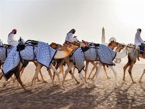 One of dubai camel racing tracks. Dubai Camel Racing Club | Dubai | United Arab Emirates | AFAR