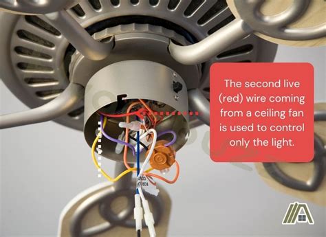 Install Ceiling Fan Wiring Red Wire Shelly Lighting