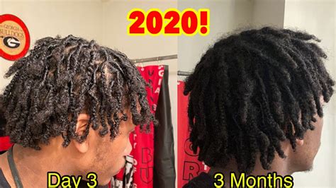 3 Month Male Loc Journey 2020 Youtube