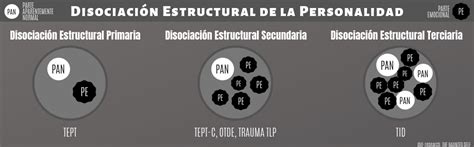 Teoría de Disociación Estructural Long Soul System