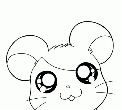 Cute Hamster Coloring Pages Az Coloring Pages