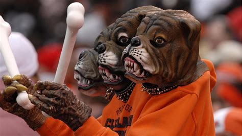 The Browns Are Getting An Actual Dog For A Mascot This Season Fox Sports