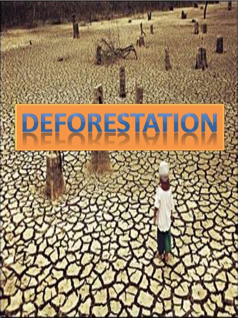 Ppt Deforestation Powerpoint Presentation Free Download Id3717693