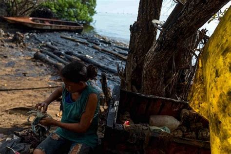 Impacto Actual De Derrames Petroleros En El Lago De Maracaibo