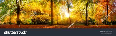 Panorama Stunning Forest Scenery Autumn Scenic Stock Photo Edit Now