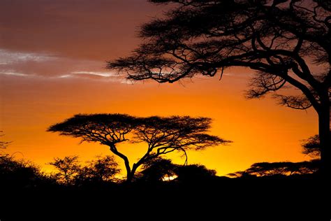 African Sunrise Wallpapers Top Free African Sunrise Backgrounds