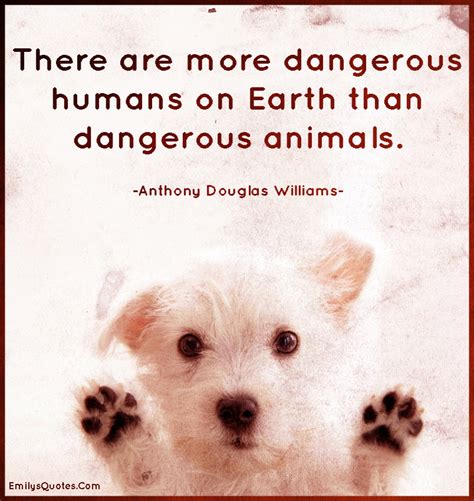 There Are More Dangerous Humans On Earth Than Dangerous