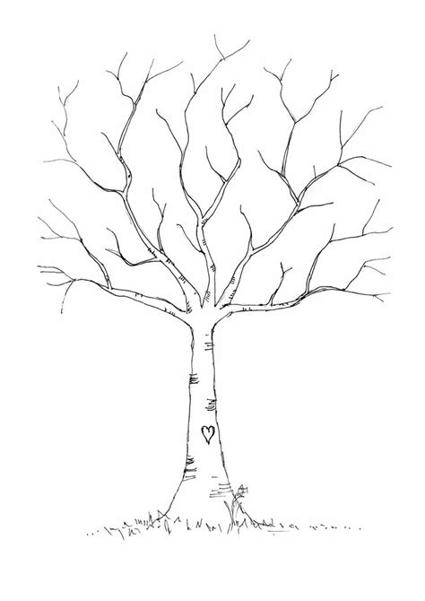A Drawing Of A Tree With No Leaves