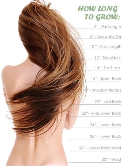 Hair Growth That Actually Works Musely