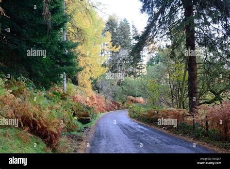 Country Road Winding Road Through Elan Valley In Autumn Rhayader Wales
