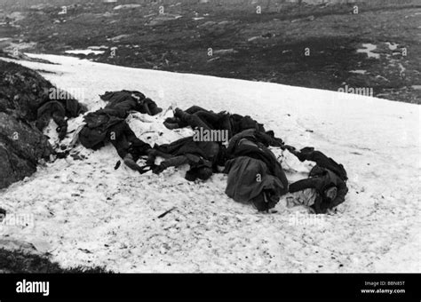 Eventi Seconda Guerra Mondiale Seconda Guerra Mondiale Russia Soldati Caduti Corpi Morti